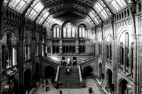 Natural History Museum, London, England