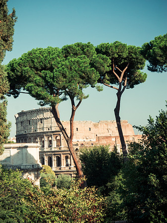 Colosseum, Rome, Italy