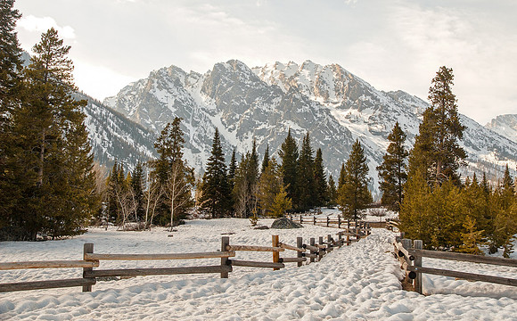 Grand Teton National Park, Wyoming, USA